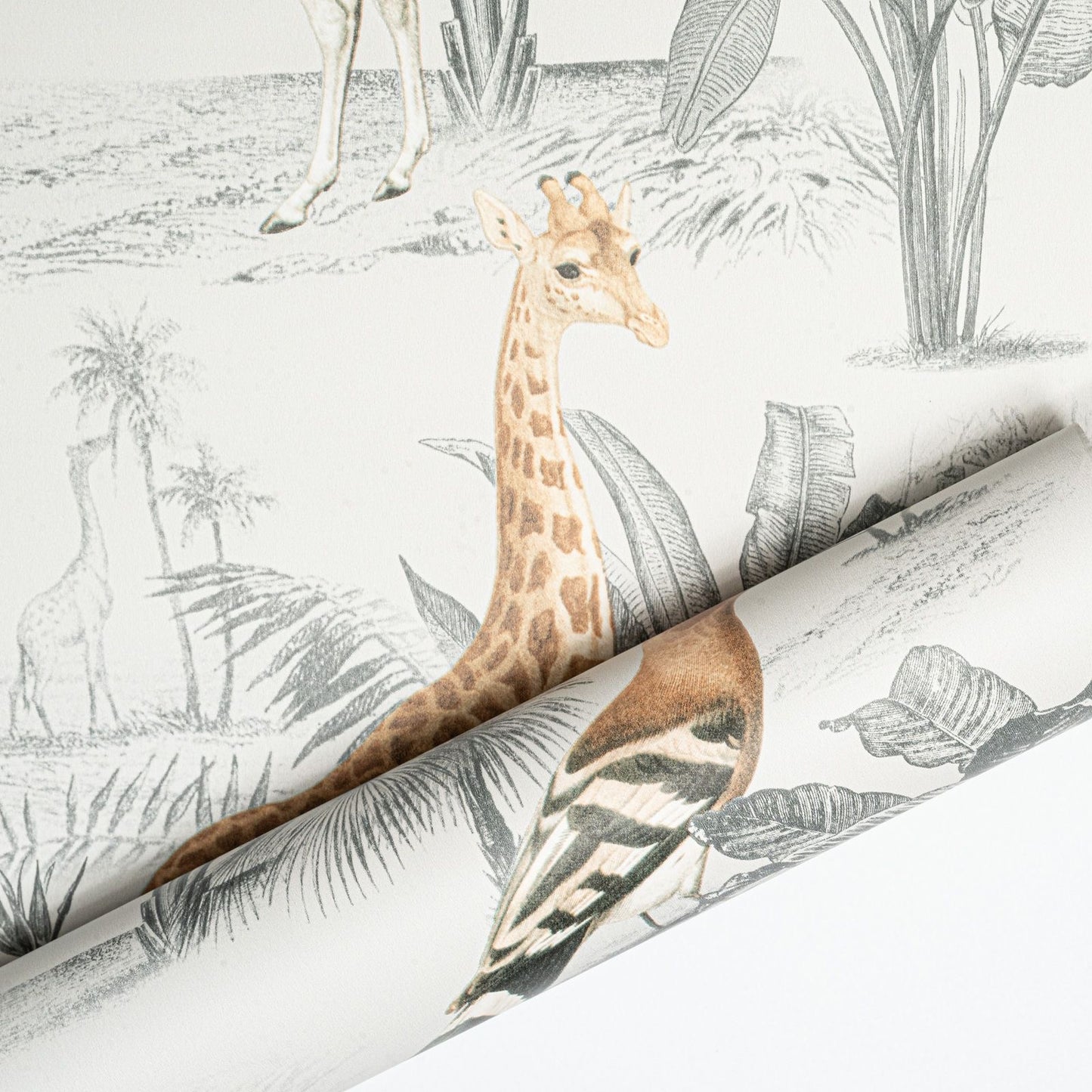 Soft White Animal Safari Wallpaper Slightly Textured Multi Feature Wall