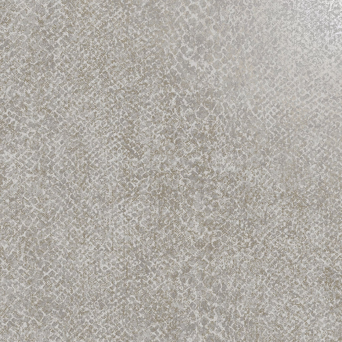Boa Grey Animal Print Wallpaper