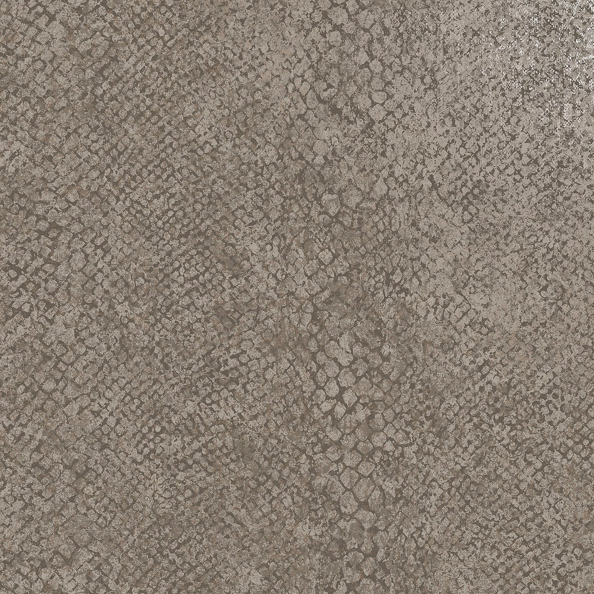 Boa Taupe Animal Print Wallpaper