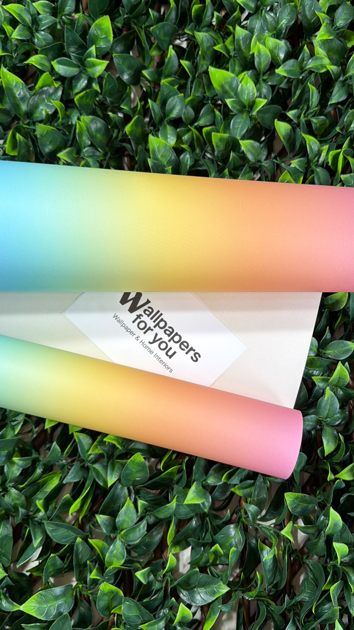 Kids Rainbow Stripe Wallpaper Pink Yellow Green Orange Feature Wall