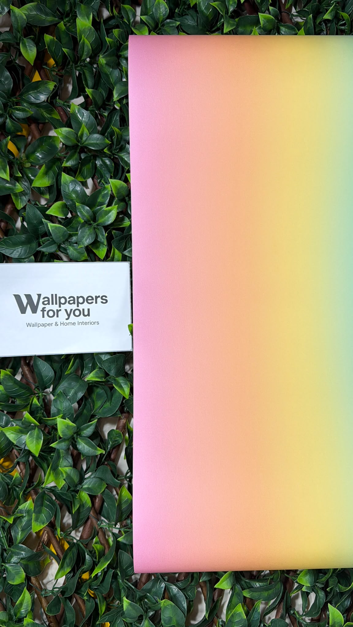 Kids Rainbow Stripe Wallpaper Pink Yellow Green Orange Feature Wall