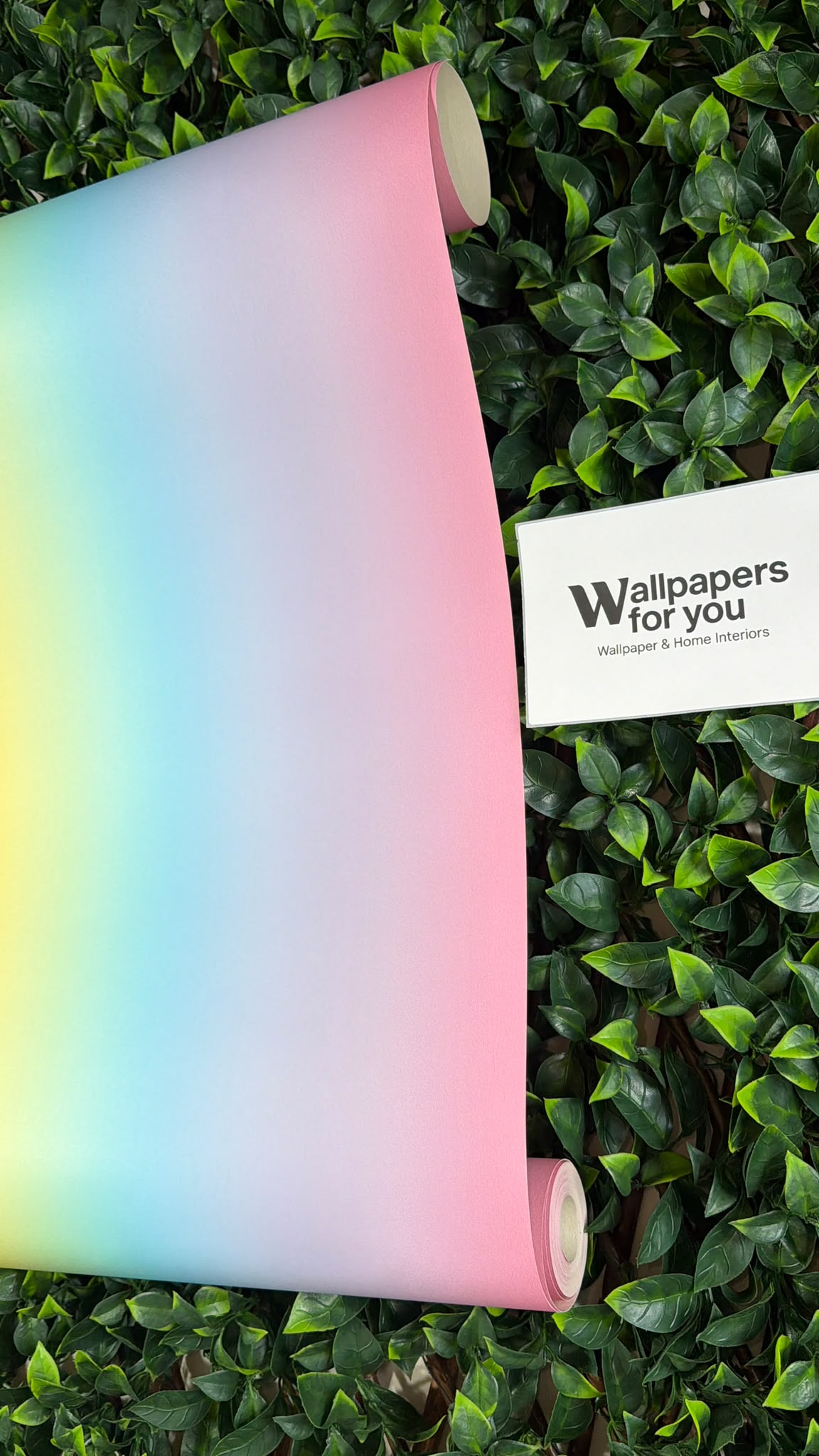 Kids Rainbow Stripe Wallpaper Pink Yellow Green Orange Feature Wall