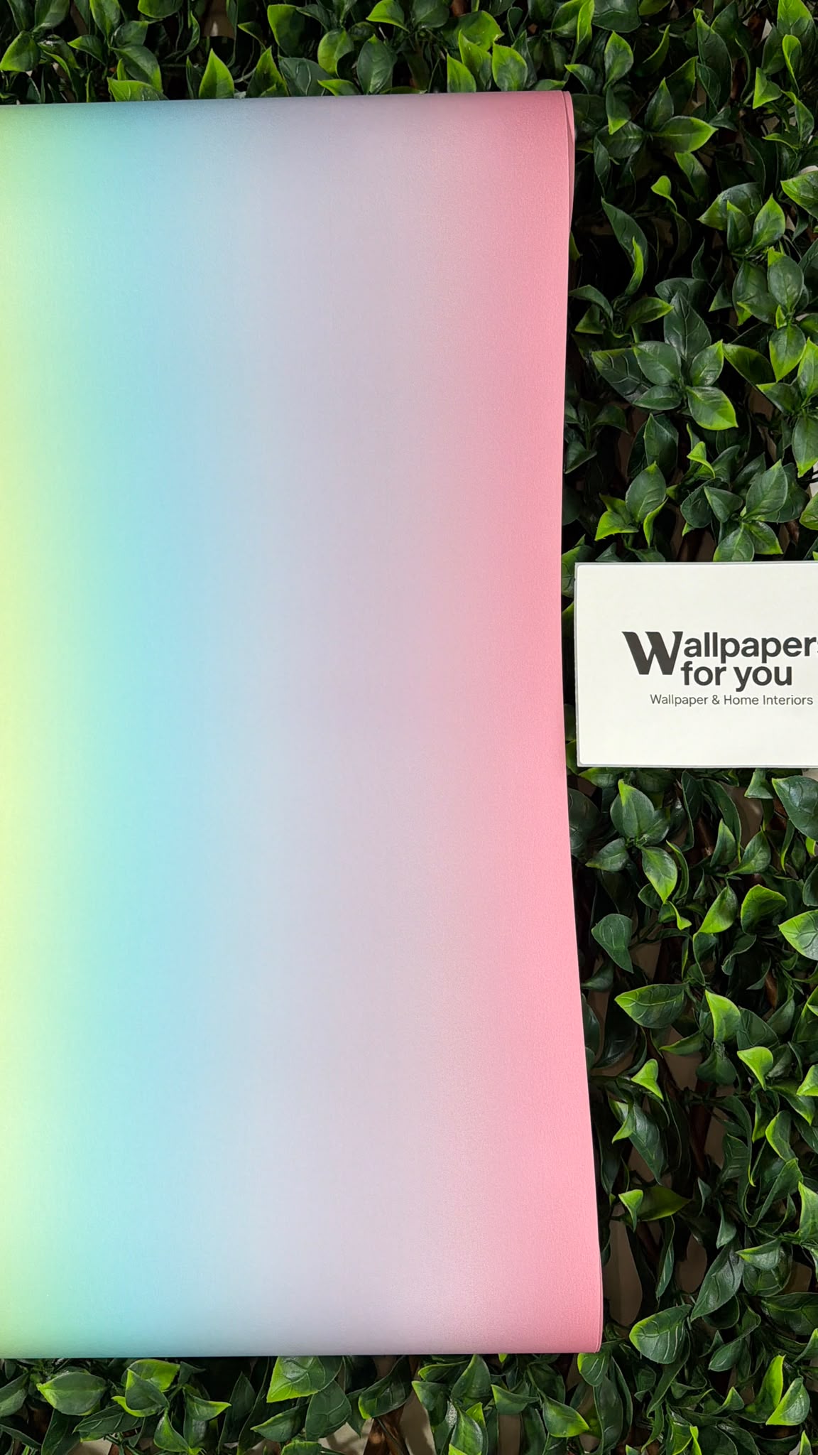 Kids Rainbow Stripe Wallpaper Pink Yellow Green Orange Feature Wall