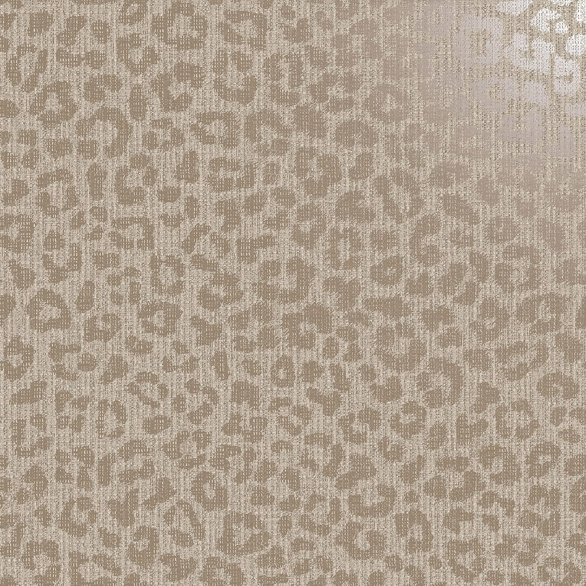 Sunda Mink Leopard Wallpaper
