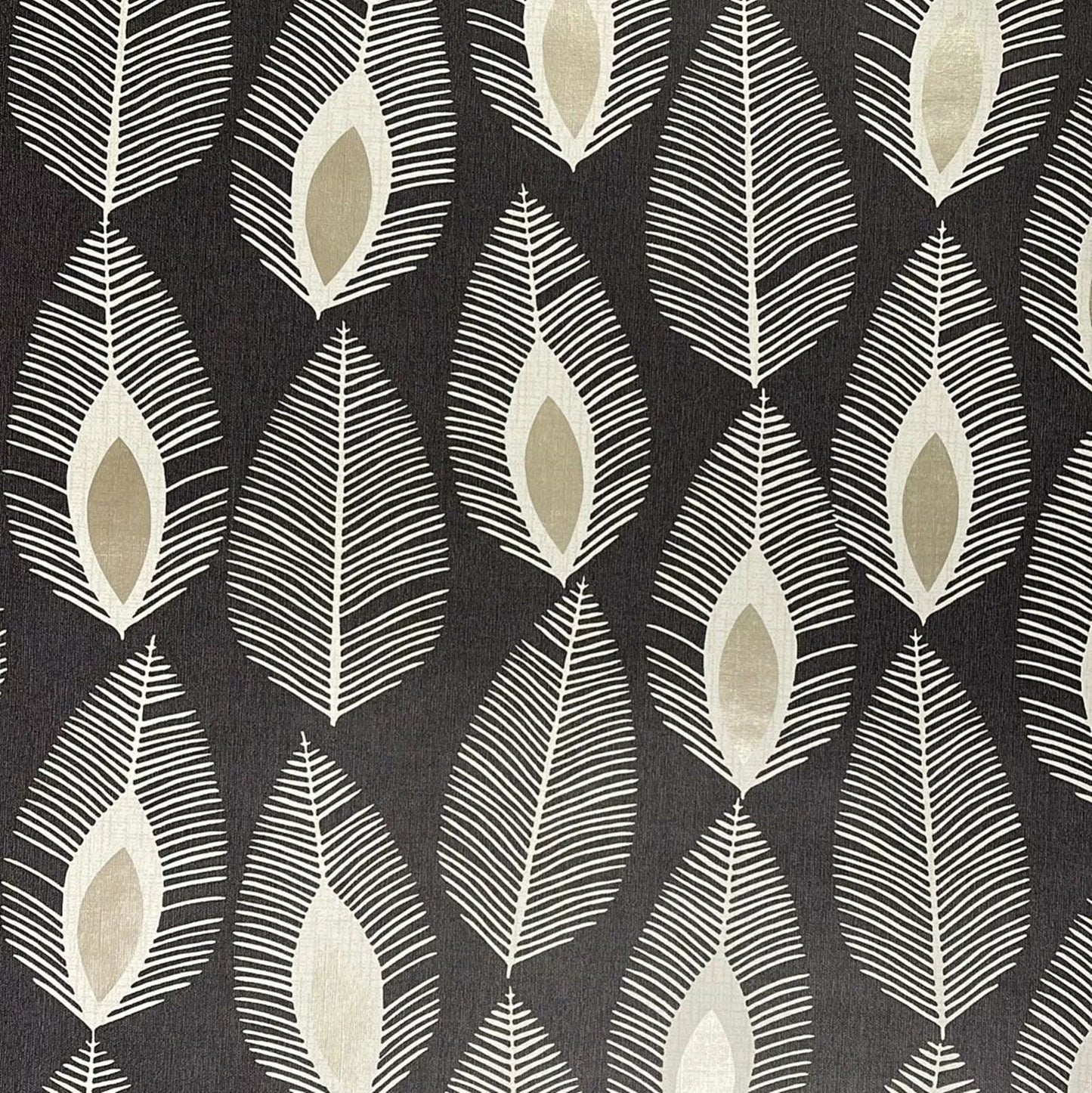 Glam Feather Charcoal Wallpaper