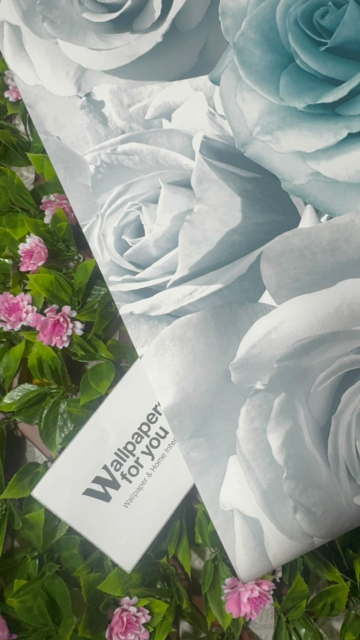 Madison Floral Flower Rose Bloom Blue